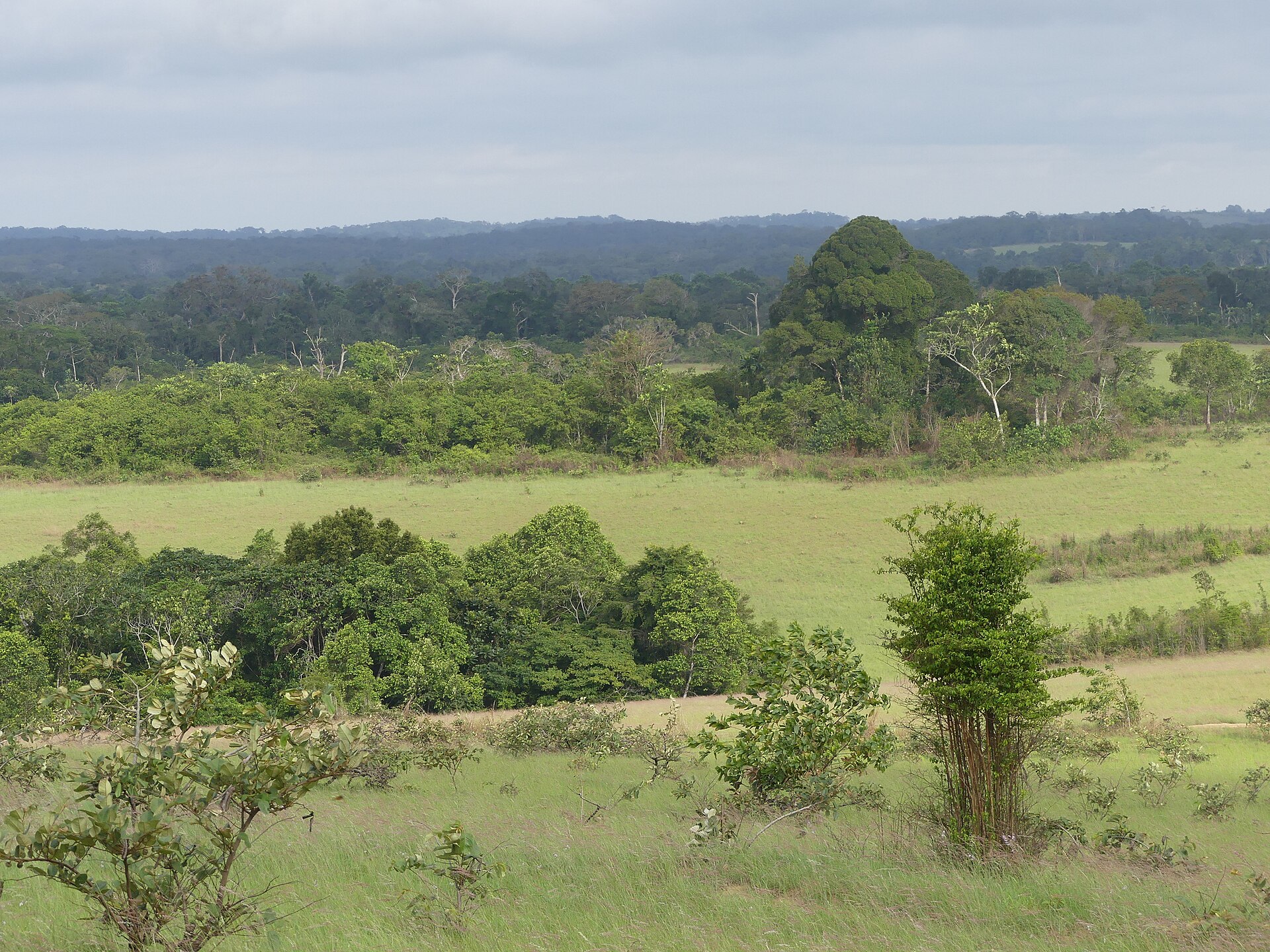 Parc national de Conkouati-Douli, Kouilou